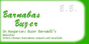 barnabas buzer business card